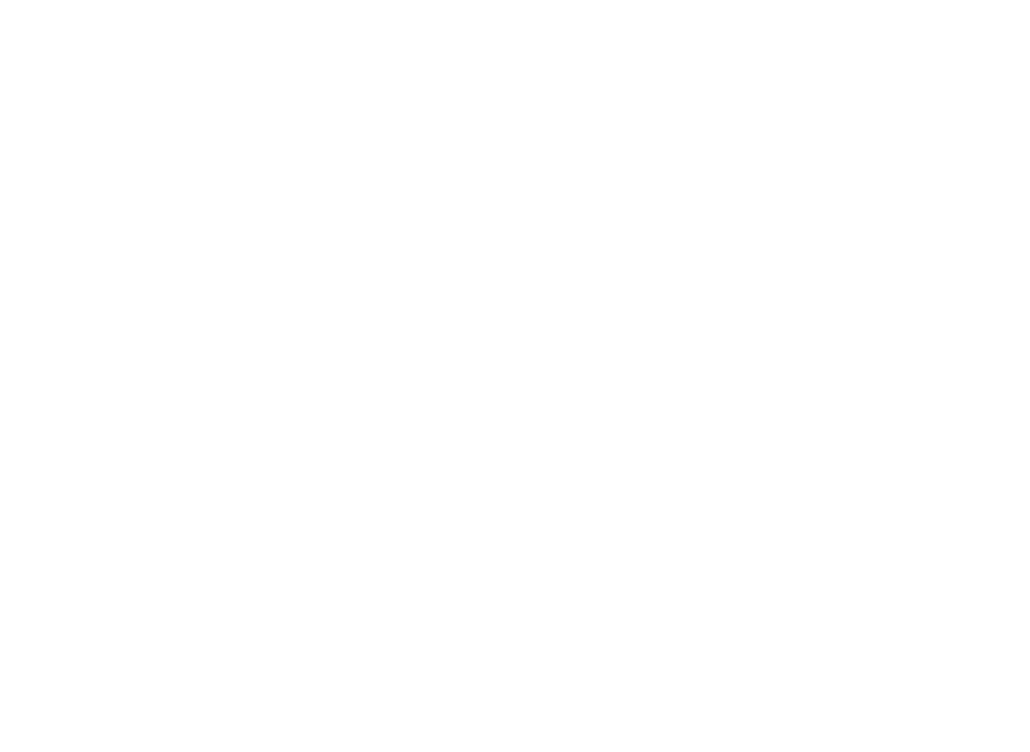 The Local 